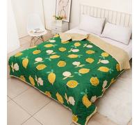 Hiseng Couverture 2.5 Tog Imprimés de Fruits, Dessus De Lits et Couvre-Lits, 2025 Couette sans Housse Couette Ete, Edredon Réversible, Lavable, pour 1/2 Personnes (Citron et Vert,200 * 220cm)