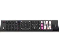 HISENSE ERF3I80H, HT288509, T288509, VOICE Télécommande d'origine