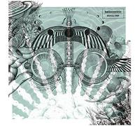 HISOMI-TNP - Heliocentric