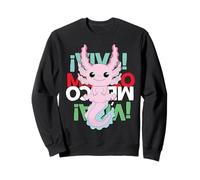 Hispanic Siesta Pride Cinco de Mayo México Proud Heritage Sweatshirt