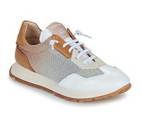 Hispanitas Baskets basses KANSAS-BHV25386 in Multicolore 36