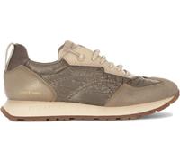 Hispanitas Kansas Couleur Marron