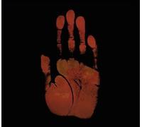 Hiss Golden Messenger - Bad Debt [Import]