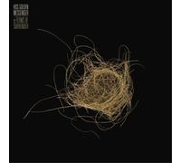 Hiss Golden Messenger Terms of Surrender (Vinyl) 12" Album