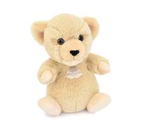 Histoire D’Ours - Doudou Peluche Lionceau 20 cm Ultra Doux Stretch - Peluche Bébé Mixte Dès la Naissance - Peluche Sensorielle Apaisante - Cadeau Naissance Élégant - HO3280