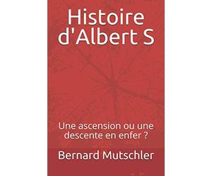Histoire d'Albert S: Une ascension ou une descente en enfer ?