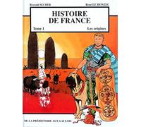 Histoire De France Tome 1 - Les Origines, De La Préhistoire Aux Gaulois