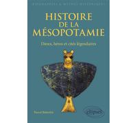 Histoire de la Mésopotamie. Dieux, héros et cités légendaires - Pascal Butterlin - Ellipses - broché - Essai