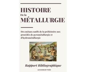 HISTOIRE DE LA MÉTALLURGIE: Des métaux natifs de la Préhistoire aux procédés de pyrométallurgie et d'hydrométallurgie