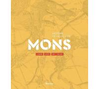 Histoire de la ville de Mons: Economie, société, santé publique