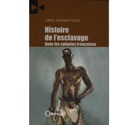Histoire de l'esclavage dans les colonies françaises : Histoire des diasporas