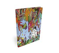 Histoire décolorée - Amandine Meyer - Misma - relié - Bande dessinée