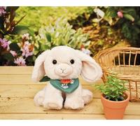 Histoire d'ours - Peluche Lapin Beige - Spa - 16 cm - Spa-LAPINBEIGEMM | Doudou Lapin Tout Doux à Adopter - Avec Boîte - Bandana Brodé SPA - Partenariat SPA - Petit Format - Idée Cadeau Solidaire