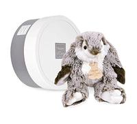 Histoire d'Ours - Peluche Lapin Marius PM - Grise - 20 cm - Douce - HO2296 | Grandes Oreilles - Avec Boîte Cadeau - Douce et Mignonne - Facile à Manipuler - Idée Cadeau de Naissance et Anniversaire