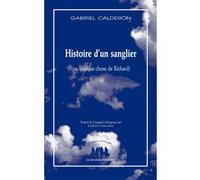 Histoire d'un sanglier (ou quelque chose de Richard) Gabriel Calderon (Auteur), Laurent Gallardo (Traduction)