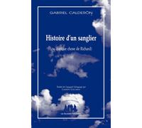 Histoire d'un sanglier (ou quelque chose de Richard) Quelque chose de richard 2024 - Gabriel Calderon - Solitaires Intempestifs - broché - Théâtre