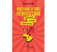 Histoire d'une révolution Maintenant, en vérité il faut tout dire - Madifing Diané - L'harmattan - broché - Essai