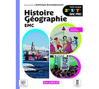 Histoire Géographie Emc 2de, 1re, Tle Bac Pro - Tome Unique
