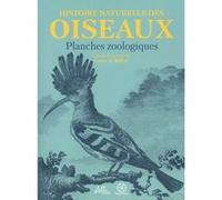 Histoire naturelle des oiseaux : planches zoologiques Georges-Louis Leclerc De Buffon (Auteur)