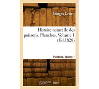 Histoire naturelle des poissons. Planches, Volume 1 (Éd.1828)