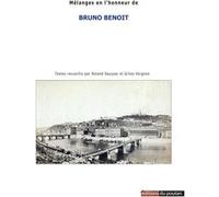 Histoire(s) de Lyon et d'ailleurs Bruno Benoit (Auteur)
