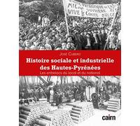 Histoire sociale et industrielle des Hautes-Pyrénées: Les entrelacs du local et du national