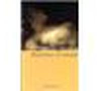 Histoires d'amour Nouvelles (1927-1951) - Alberto Moravia - Flammarion - broché - Nouvelles