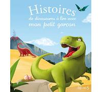 Histoires de dinosaures à lire avec mon petit garçon