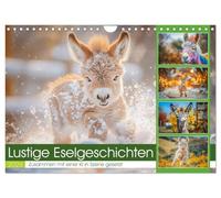 Histoires drôles d'ânes, Version française (Calendrier mural 2026 DIN A4 portrait), Calendrier CALVENDO mensuel