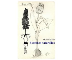 Histoires naturelles - Benjamin Monti - Waknine Marguerite - broché - Monographie