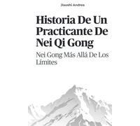 Historia De Un Practicante De Nei Qi Gong: Nei Gong Más Allá De Los Límites