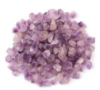 Historical Record Of The Governor General's Body Guard