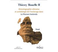 Historiographie africaine et archéologie de l'esclavage dans Le Pharaon Inattendu