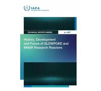 History, Development and Future of SLOWPOKE and MNSR Research Reactors