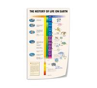 History of Life on Earth Canvas Print Evolution Timeline Poster Educational Science Wall Art for Classroom Office Home Decor Gift(Framed,16X24inch(40X60cm))
