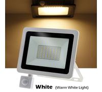 History Of Salem And The Immediate Vicinity: Columbiana County, Ohio