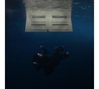 Hit Me Hard and Soft