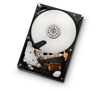 Hitachi HUA722020ALA330 Ultrastar