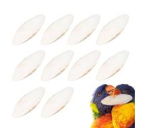 Hitburu Os de seiche pour calopsittes,Os de seiche pour perruches - Jouet de Cage de Perche d'oiseau en os de de réservoir de Tortue de 10 pièces | Fournitures pour Animaux de Compagnie, Jouets