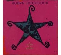 HITCHCOCK,ROBYN - A Star For Bram