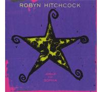 Robyn Hitchcock – Jewels for Sophia – CD – Warner Music