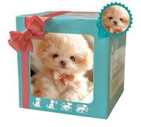 HItianya My Realistic Robot Puppy, Chiot Robot Qui se Comporte comme Un Vrai Chiot, Chien Robots Intelligent, Jouet Interactif Qui Marche, Aboie et Remue la Queue pour Adultes et Enfants (B)