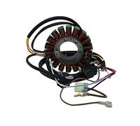 Hity Motor Bobine magnétique de stator pour Polaris Sportsman 400 500 Scrambler 500 4x4 Hawkeye 400 HO Ranger 400
