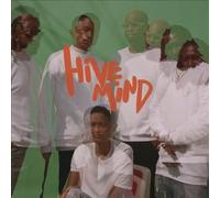 Hive Mind by The Internet [VINYL] NEUF