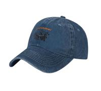 Hiver Flamin Groovies Maintenant Coton Réglable Casquette De Soleil Unisexe Hip Hop Chapeau Décontracté Snapback