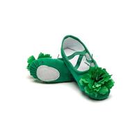 Hixingo Chaussure de Ballet Danse Femme, Chaussure de Ballet Ballerine Semelle Scindée Demi Chausson de Danse Classique pour Ballerines Pratique (Fleurs Vertes,42)