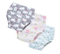 Hixingo Culotte Apprentissage Propreté Fille Garcon, Réutilisable Culotte d Apprentissage Lot de 3, Couche Lavable Enfant Doux, Couches pour Les Enfants de 1 à 3 Ans (Combinaison 12,L: 100)