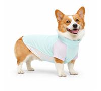Hixingo Gilet de Refroidissement pour Chien, Manteau Rafraîchissant Confortable par Évaporation, Veste d'été Anti-Coup de Chaleur avec Trou de Harnais (ST27 Vert,XL)