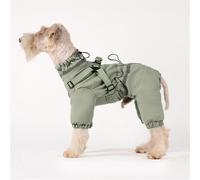Hixingo Manteau d'hiver à Pattes pour Chien, Chaud Veste Chaude et Froide pour Chien Intérieur et Extérieur Vêtements pour Petit Moyen Grands Chiens (XS,Vert Sauge)