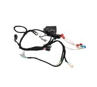 HJ250H Coil Harnness Ignition Ensemble d'allumage de Moto de câblage électrique Complet pour Moteurs de 250cc 2 Traits compatibles avec Les vélos de Type Hengjian(Harness)